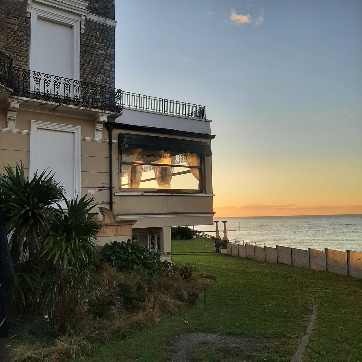 Wild Margate tweet media