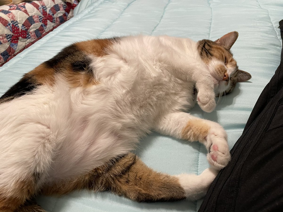 Happy #jellybellyfriday everyone!
