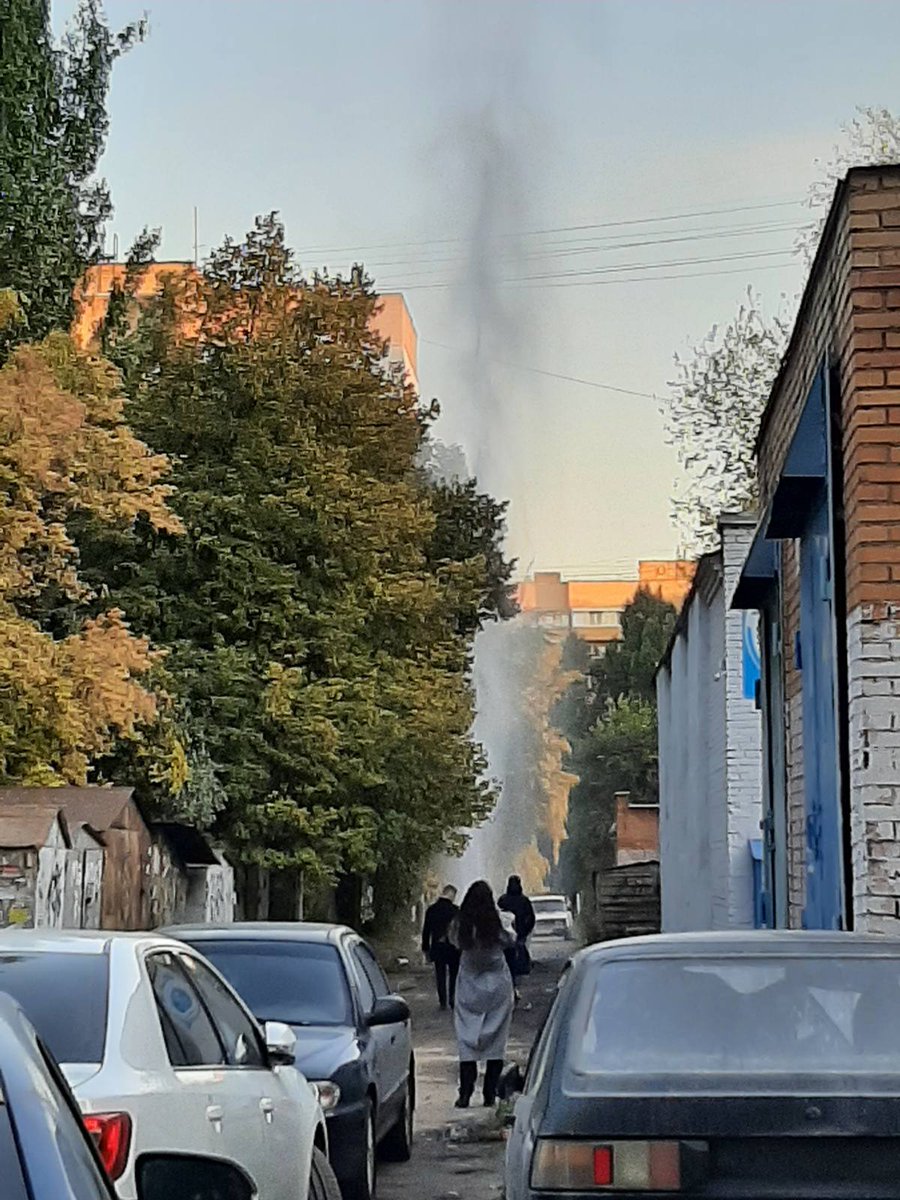 YUliya Frolova tweet media