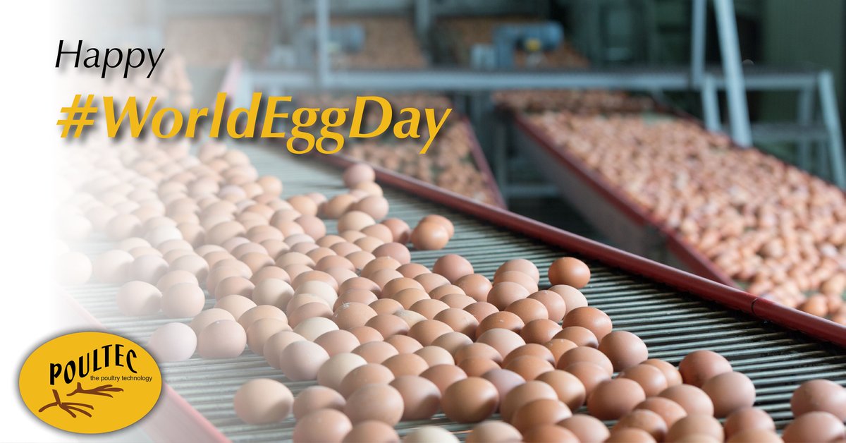 Poultec NV tweet media