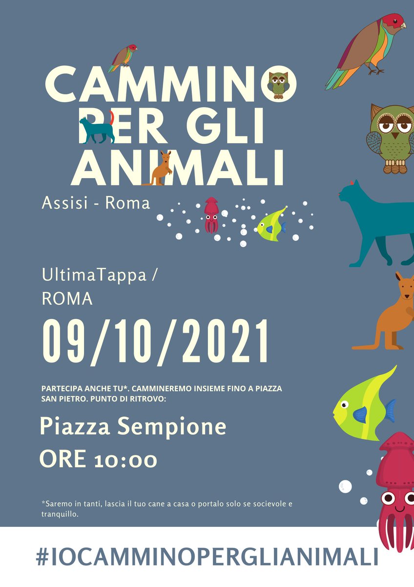 Scuola_ThinkDog's tweet image. Sabato 9 ottobre 2021. Tutti a Roma, per essere voce e flusso di coscienza in tutela dei diritti degli animali.
Chi viene?
#iocamminoperglianimali #camminoperglianimali #roma 
@AngeloVaira