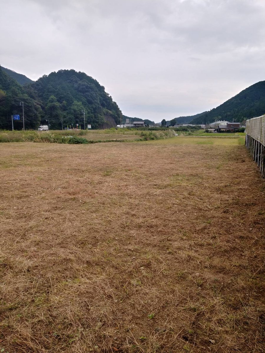 interbenry's tweet photo. 岐阜市奥にて
空き地の草刈を
やらせて頂きました！

歴代2位の広さでしたが
5人がかりで2日かけて
何とか終わらせました！

広大な空き地から
ご自宅のお庭まで
雑草・雑木の処理は
ベンリーに
お任せください！

#一宮 #岩倉 #江南 #岐阜 #名古屋 #草刈 #草抜 #剪定 #伐採 #抜根 #芝刈 #造園 #空き地 https://t.co/s7em2sbw8L