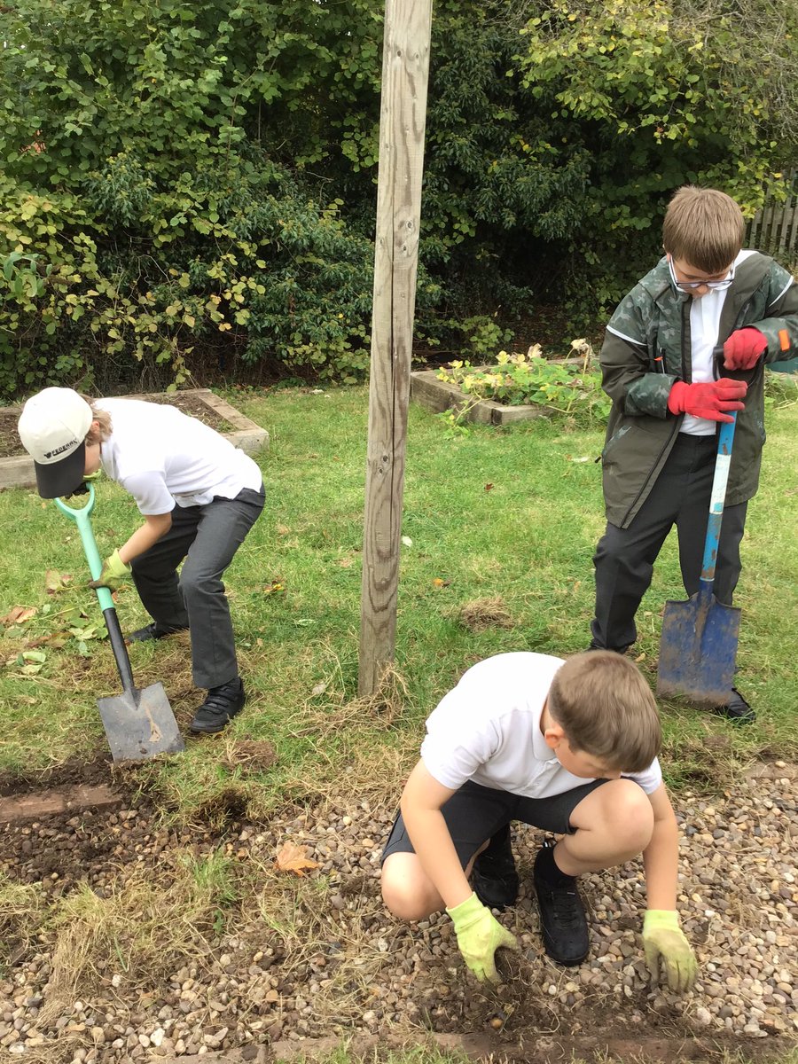 HollyfieldPri's tweet photo. We had great fun gardening at lunchtime, well done year 5! https://t.co/ZuFeRn0gPO