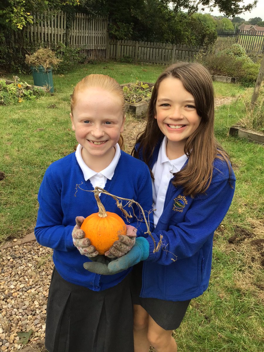 HollyfieldPri's tweet photo. We had great fun gardening at lunchtime, well done year 5! https://t.co/ZuFeRn0gPO