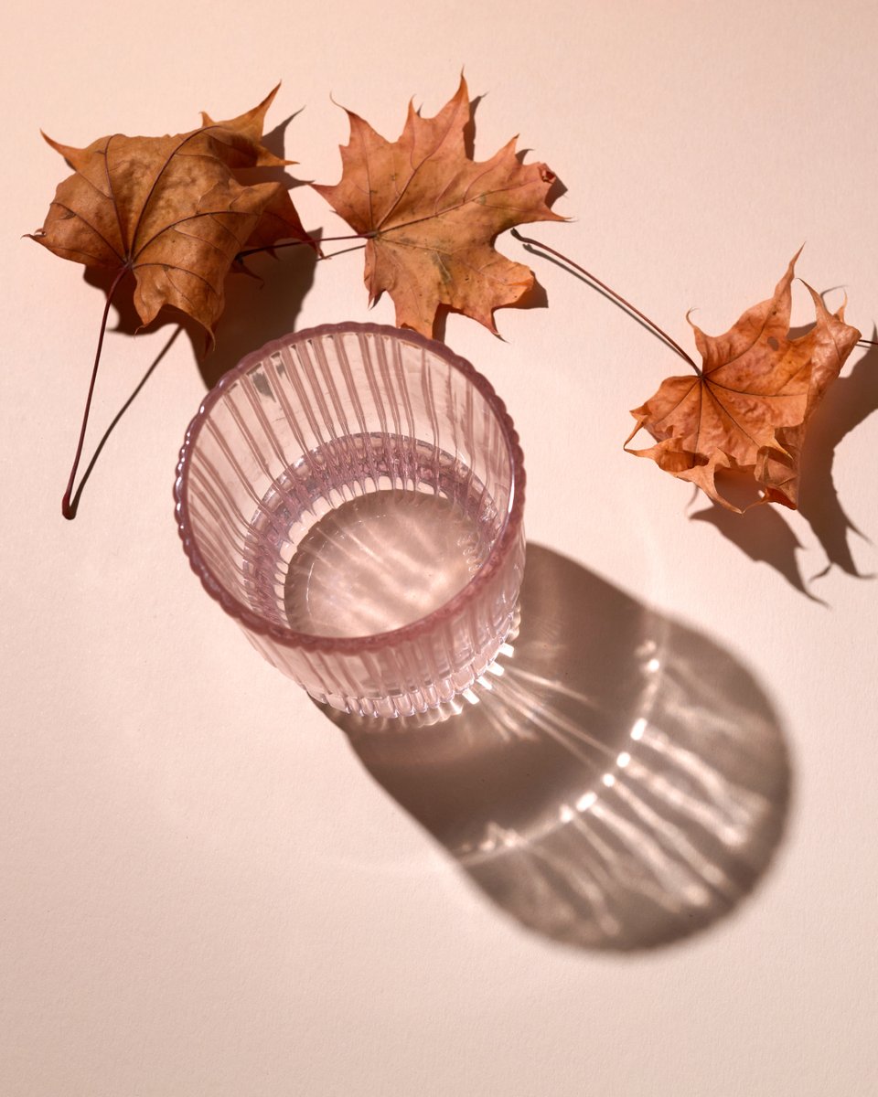 nutrivitality's tweet photo. Make an autumn routine to keep your hydration in check! 🍂

#hydration #stayhydrated #nutrients #autumnroutine #winterroutine #wellness https://t.co/bfDV5wjXU5