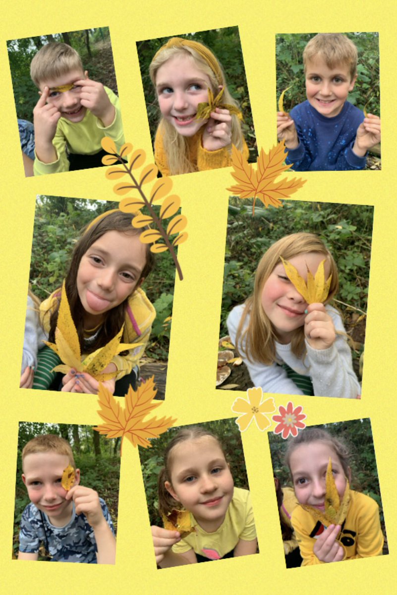 UskPrimary's tweet photo. Dosbarth Oak set their own mission to find as many yellow leaves as they could in Forest School for #HelloYellow Day! 🍂🌼🌻@MonmouthshireCC https://t.co/TjpRN63TyB