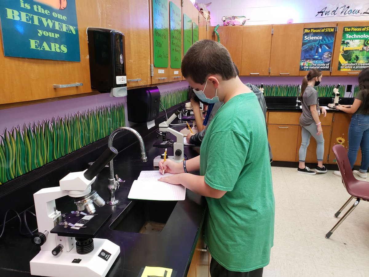 RiedelSCIENCE's tweet photo. "THATS SO COOL!" @MMS_WOLVES say while looking at borrowed slides undee the microscope from @correllscience. Thank you Ms. Correll for letting us borrow from your science stash! #MMSscience @donnajeanguzman #fcps1kidsdeserveit https://t.co/lbdfcds7ik
