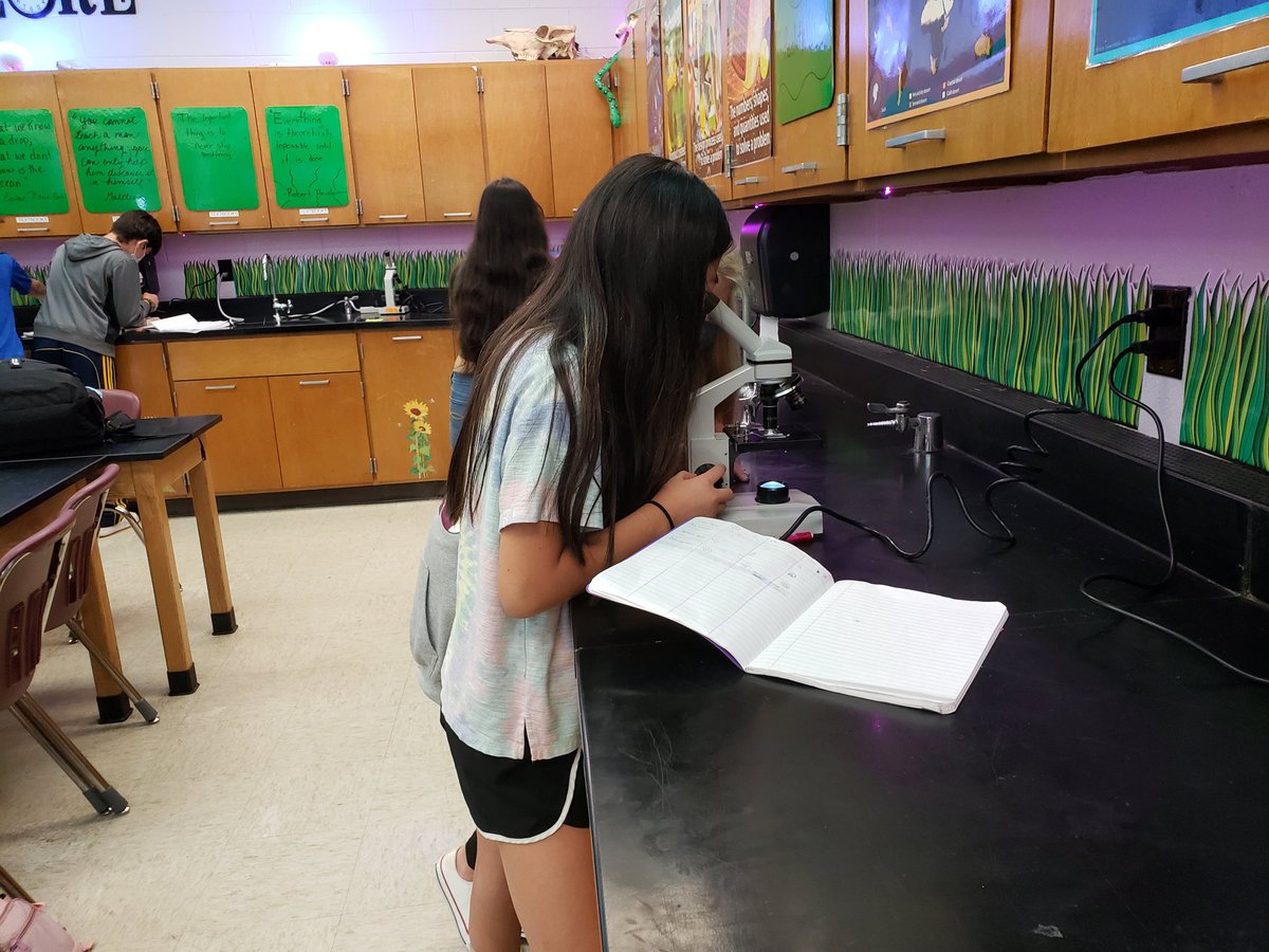 RiedelSCIENCE's tweet photo. "THATS SO COOL!" @MMS_WOLVES say while looking at borrowed slides undee the microscope from @correllscience. Thank you Ms. Correll for letting us borrow from your science stash! #MMSscience @donnajeanguzman #fcps1kidsdeserveit https://t.co/lbdfcds7ik