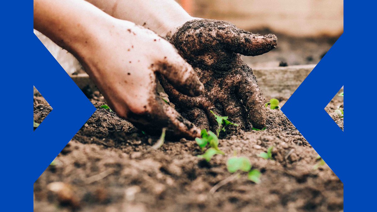 MakeItInBrixton's tweet photo. Join us for a community workshop on Sunday 10 October, 2-4pm at Dexter's Playground, Railton Road #Brixton.
White Allies: Preparing the soil and planting a new anti-racism seed to thrive.
#event #sunday #whitealliesuk #whiteallies #blm #spaceinbetween #Join #getinvolved https://t.co/Wm72xg6Hnb