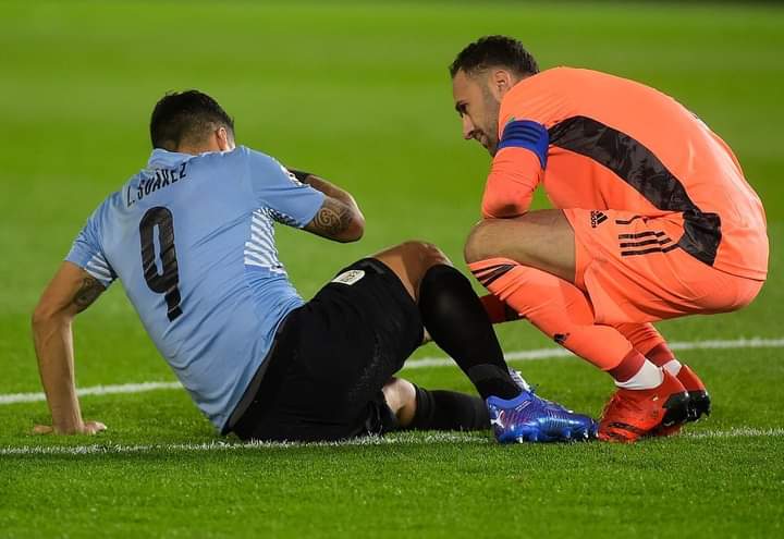 PlataBerrio's tweet photo. El mejor arquero que ha dado el fútbol colombiano en su historia. El Gran David Ospina. https://t.co/VGjxESyu92