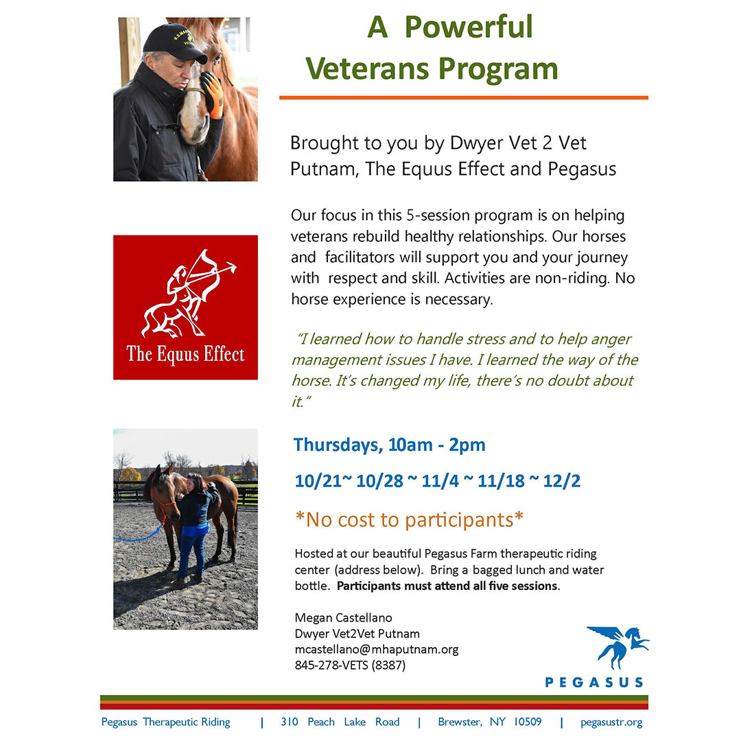 DwyerVet2VetPut's tweet photo. #Pegasus #Vet2Vet #Veterans #SupportVeterans #DwyerVet2VetPutnam #PutnamCountyNY https://t.co/HVcoqf1FAB
