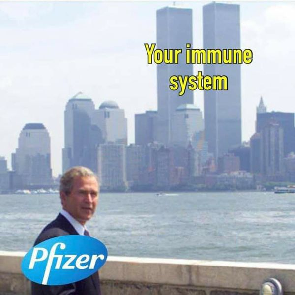 waltercool11's tweet image. #ExposePfizer