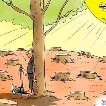 Green Environment and Climate Change Initiative on Twitter: Green Environment and Climate Change Initiative on Twitter: