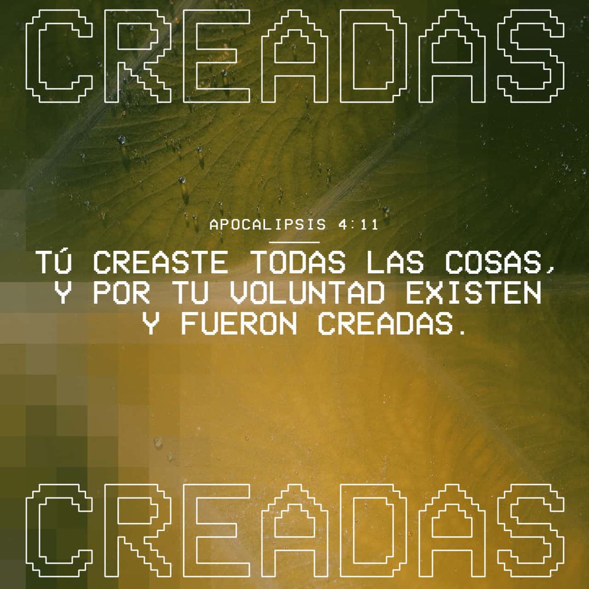 AbnerPapa's tweet photo. «Señor y Dios nuestro; tú mereces que te alaben, que te llamen maravilloso, y que admiren tu poder. »Porque tú creaste todo lo que existe; gracias a ti, todo fue creado.»
Apocalipsis 4:11 TLA https://t.co/jmBrKXpAnP