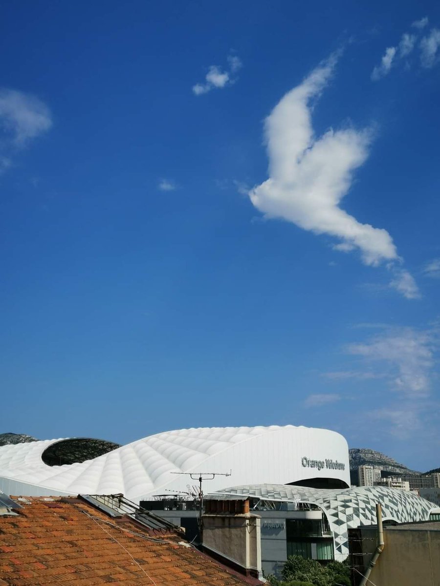 lionel_duval's tweet image. Comme un signe..🙏🕊🔵⚪
#Marseille