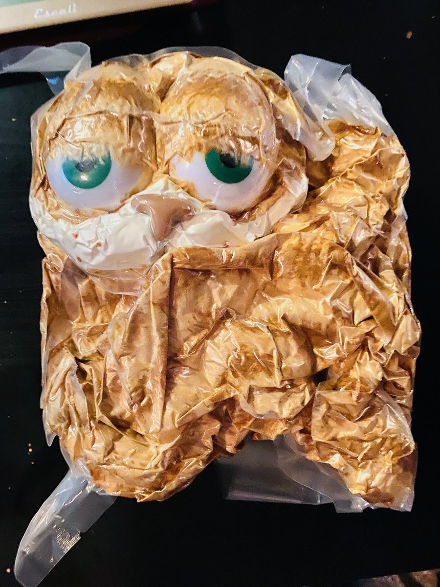 Isn't he cute????? Omg