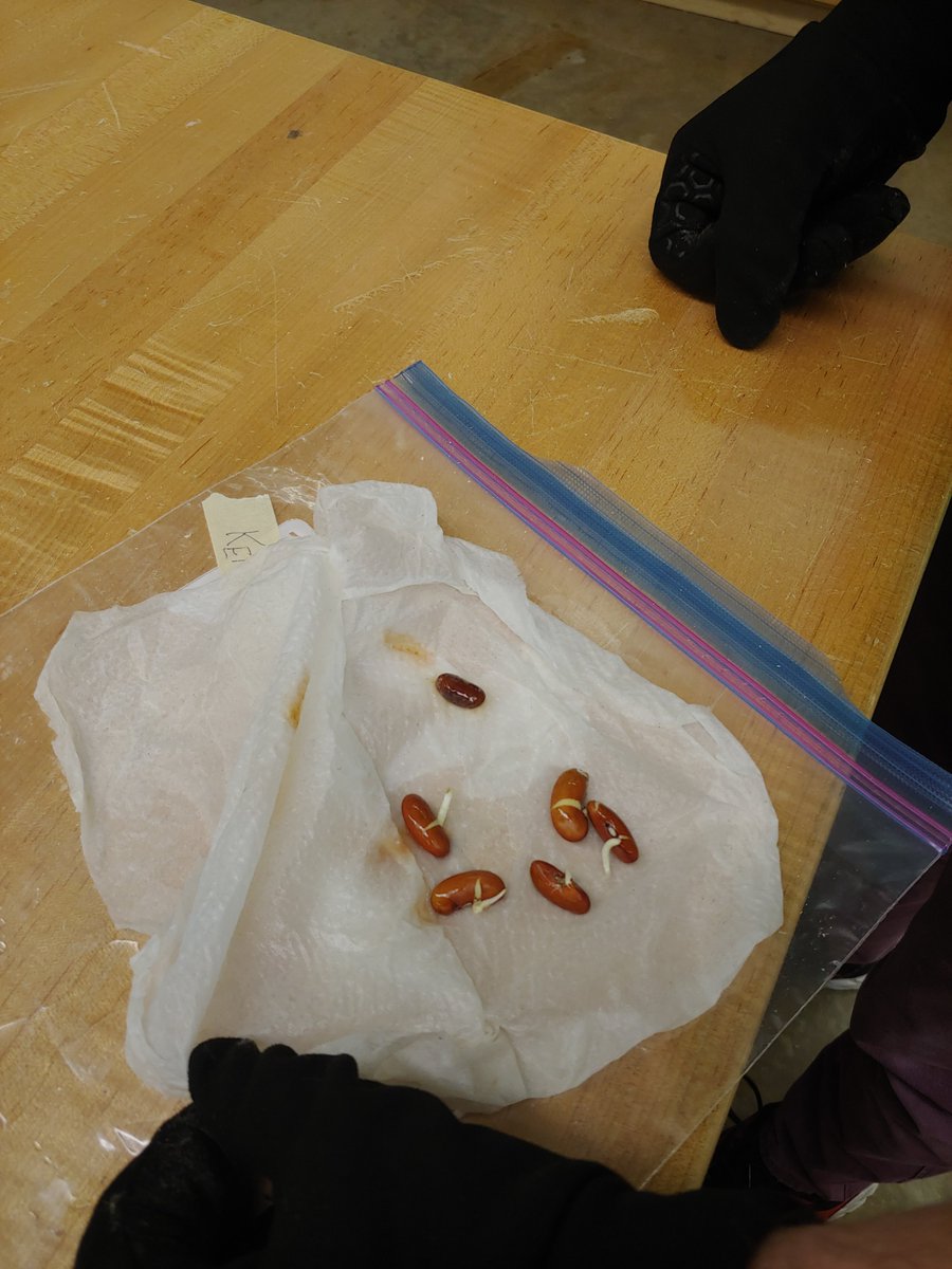 Sustainable Tech. tweet media