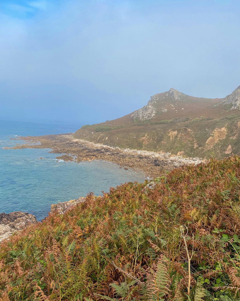 Cotentin Uniqueᅠᅠᅠᅠᅠᅠᅠᅠᅠᅠᅠᅠᅠᅠᅠᅠᅠᅠᅠᅠᅠᅠᅠᅠᅠᅠᅠᅠᅠ tweet media