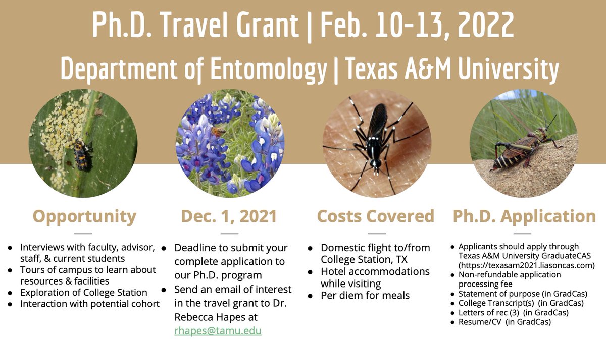 Are you interested in a graduate position in entomology at Texas A&amp;M? Please apply for our recruitment event.