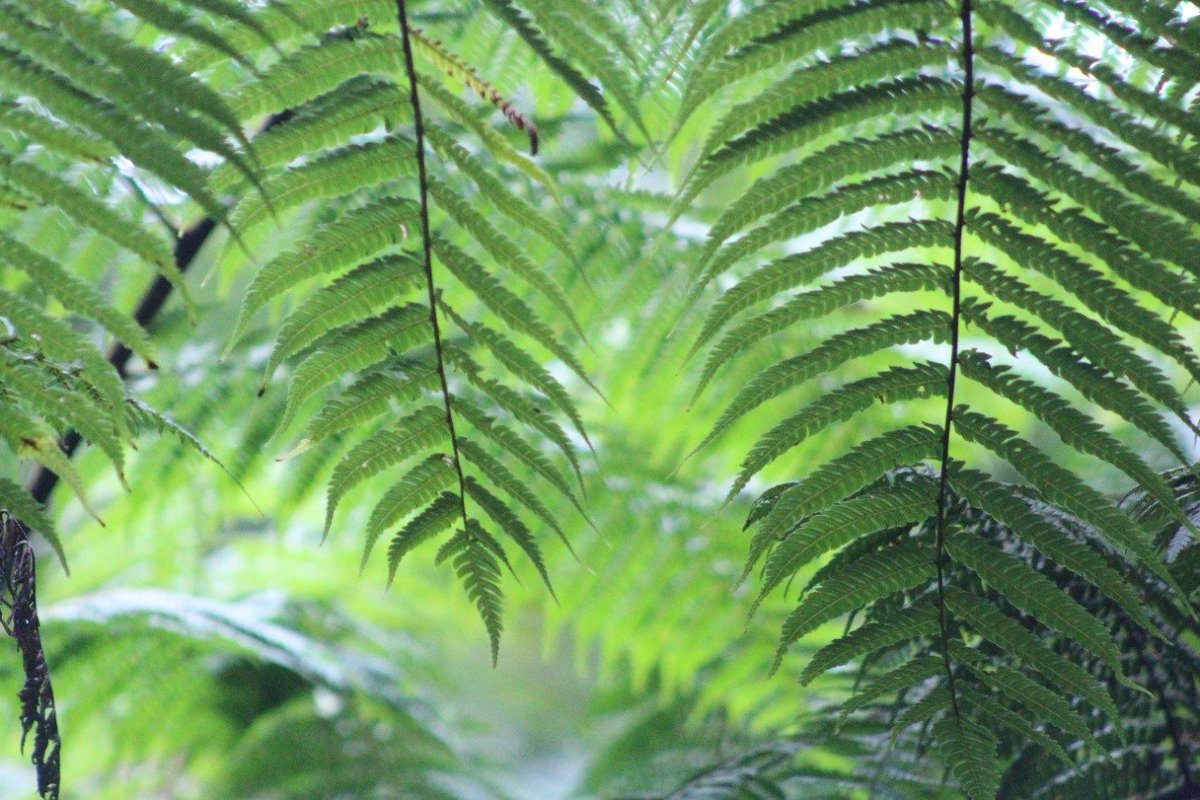 La aprobación lograda hoy ayudará a catalizar la adopción e implementación efectiva de estándares ambientales globales más sólidos y homogéneos.
<a href="/amnesty/">Amnesty International</a> <a href="/ciel_tweets/">Center for International Environmental Law</a> <a href="/hrw/">Human Rights Watch</a>