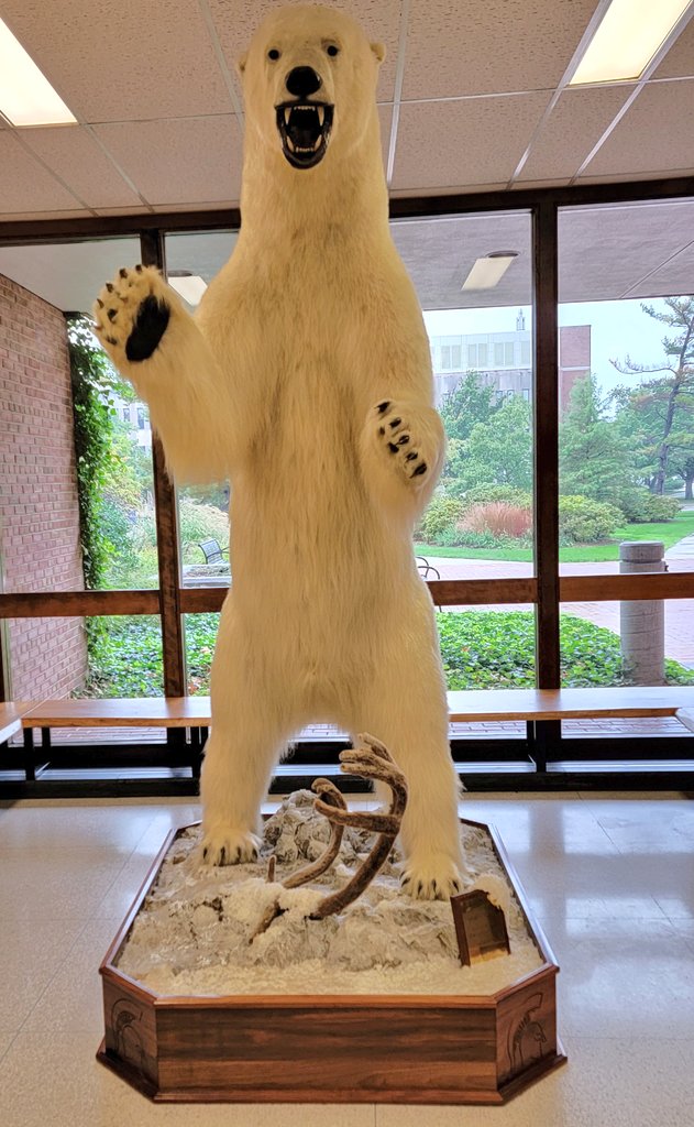 Eddie Verhamme tweet media