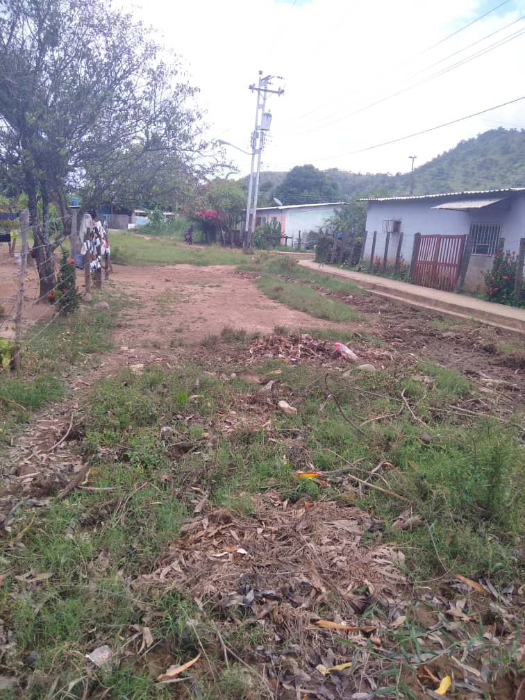 indervenezuela's tweet photo. #8Oc Nuestra coordinación en Cojedes en su afán de brindar asesoría y capacitación técnica al pequeño y mediano productor, realizó inspección a la vialidad del sector Canta Rana, del municipio Girardot, con el fin de levantar información oportuna para su mantenimiento. https://t.co/OcJMyvHbX0