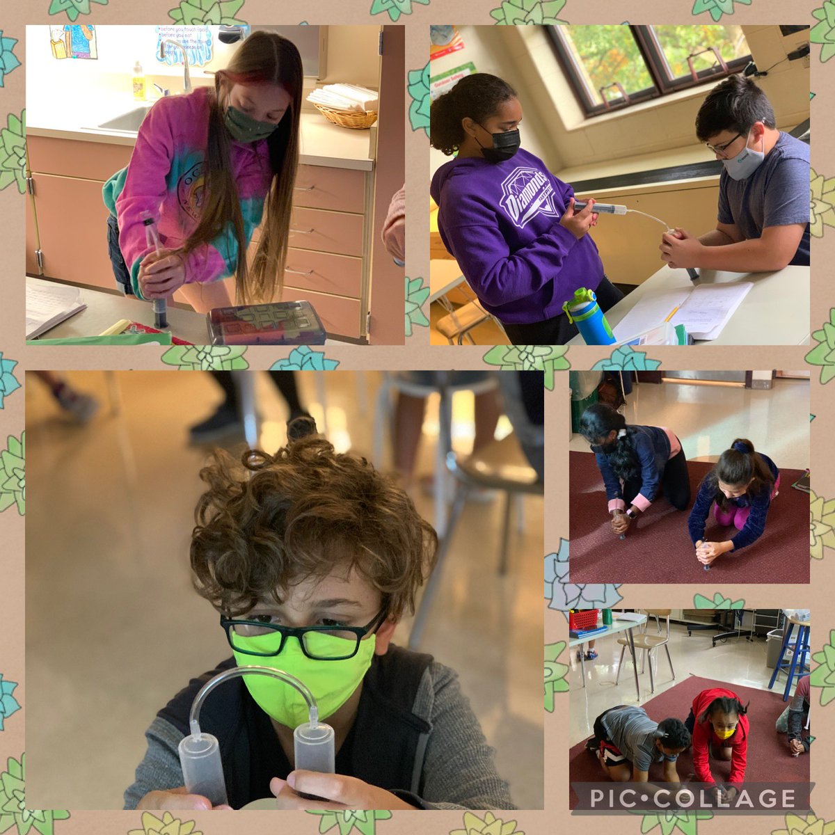 Crista Abramson (@missa_npsd) on Twitter photo Exploring “What is air?” in today’s science classes! #selfdiscovery #teamwork <a href="/bpmustangpride/">Bridle Path Elementary</a> <a href="/FOSSscience/">FOSS Science</a> Exploring “What is air?” in today’s science classes! #selfdiscovery #teamwork <a href="/bpmustangpride/">Bridle Path Elementary</a> <a href="/FOSSscience/">FOSS Science</a>