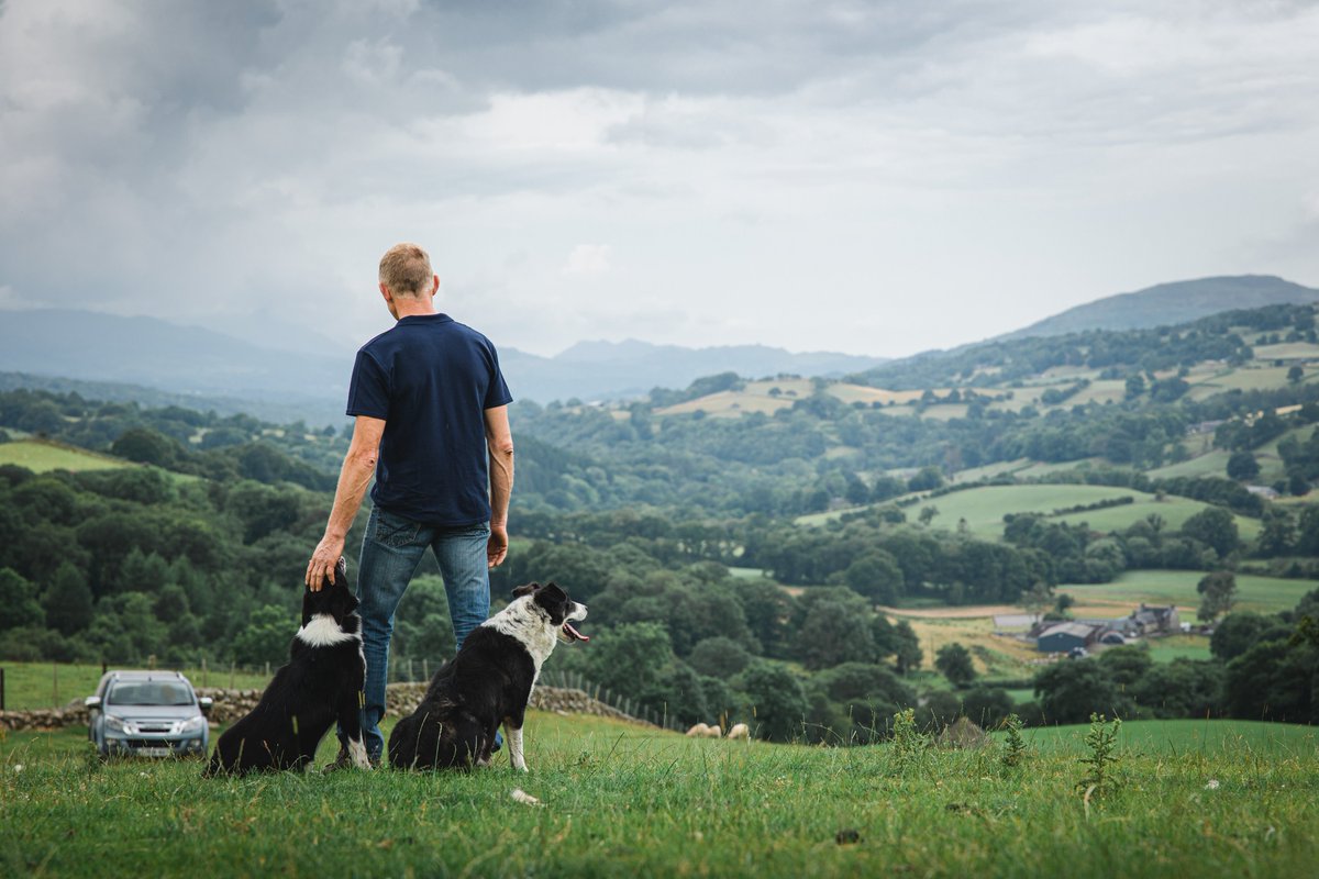 S3Advertising's tweet photo. Interrupting your feed to show you some of the the LUSH shots our production team captured on the latest @NFUtweets TV ad. 🤩📸 https://t.co/nP8GzfjMDn