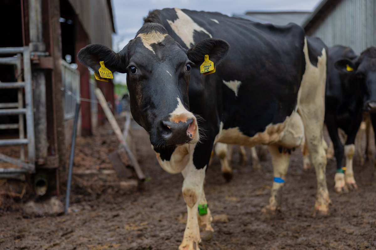 S3Advertising's tweet photo. Interrupting your feed to show you some of the the LUSH shots our production team captured on the latest @NFUtweets TV ad. 🤩📸 https://t.co/nP8GzfjMDn