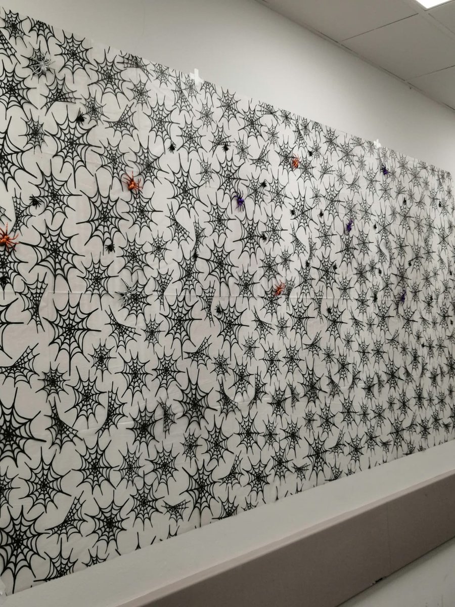 Emma Meadows tweet media