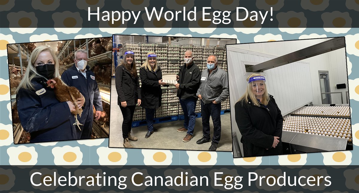 Lianne_Rood's tweet photo. Today is #WorldEggDay. Thank you to our highly skilled egg farmers for the delicious world-class eggs! This resilient sector was there for us when we needed a sense of stability, and it continues to be here anytime we crave an all-day breakfast. #ThankAFarmer #CdnAg @eggsoeufs https://t.co/WLhe7D2AoJ