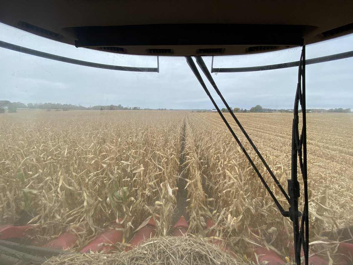 drewlangman's tweet photo. Will switching to corn before the beans are done make the sun come out? Just like cutting hay makes it rain??? #wheresthesun #ontag #harvest21 #corn #soybeans https://t.co/tAyiWStJh8