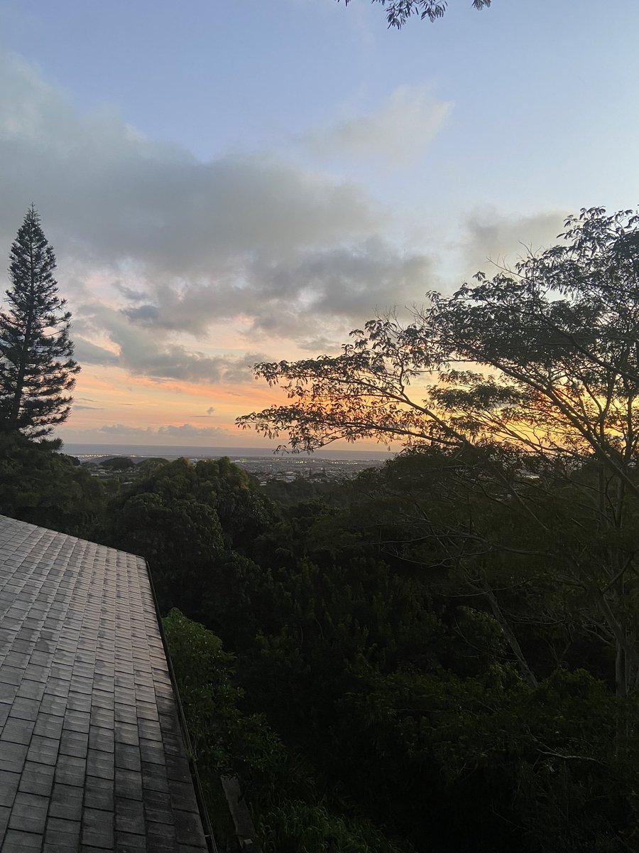 sandiestofcheek's tweet photo. hawaii shit https://t.co/zhcDz9f105