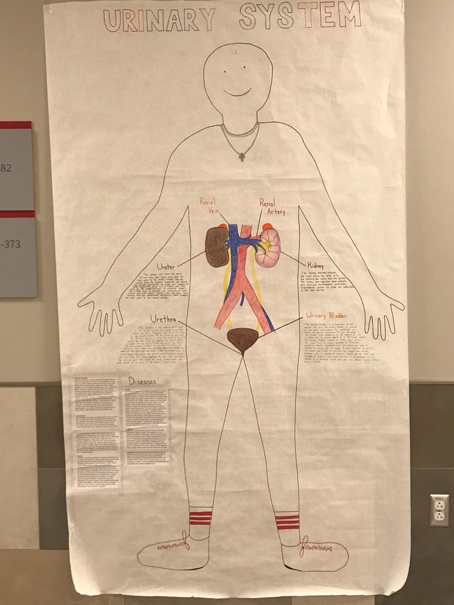 Amy McGowan Kizzee tweet media