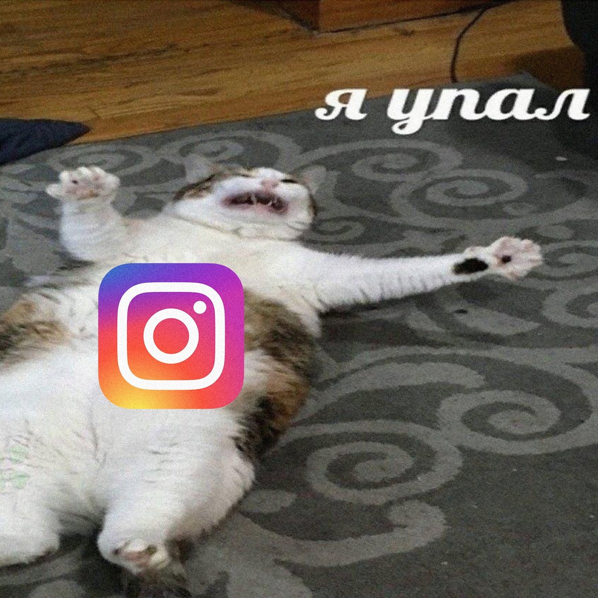 phosphenes_dp's tweet photo. Заходишь в инст сделать сториз за неделю, а этот пидор упал, ну конечно же это вызывает агрессию
Ублюдок 
#instadown https://t.co/GKlBZRRFwU