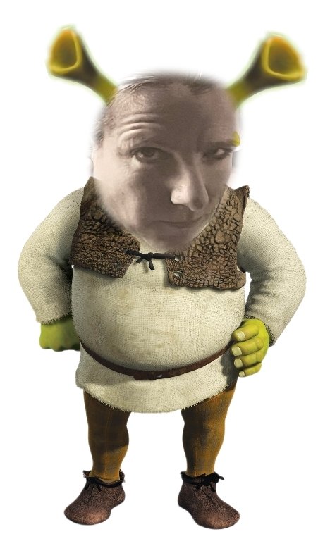 ImNormalLikeYou's tweet image. Mrs Shrek House baby!