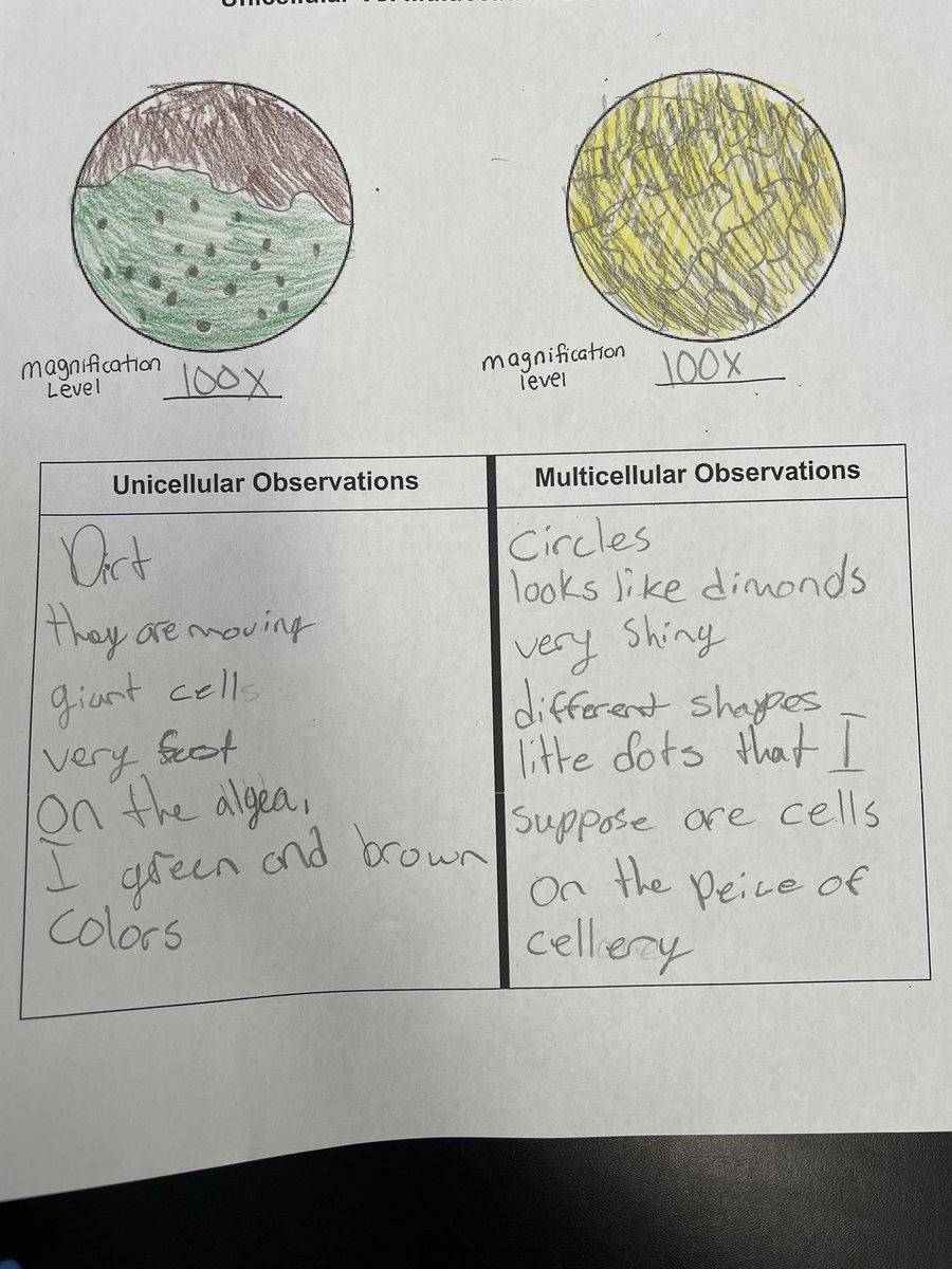 NinaAimeee's tweet photo. What a day in 7th grade science! Today students observed unicellular and multicellular organisms! Unicellular organisms were found in pond water from mount holly! Our multicellular was celery under the microscope! @MHTSD_DRAGONS @MHTSD_Holbein https://t.co/gCZ6i0KDJT