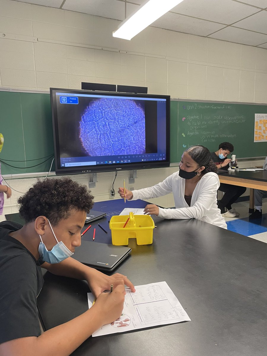 NinaAimeee's tweet photo. What a day in 7th grade science! Today students observed unicellular and multicellular organisms! Unicellular organisms were found in pond water from mount holly! Our multicellular was celery under the microscope! @MHTSD_DRAGONS @MHTSD_Holbein https://t.co/gCZ6i0KDJT