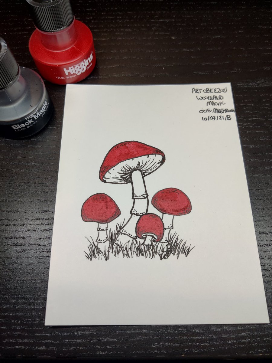 DioxPurple's tweet photo. #artober2021 #artober #inkart #inkdrawing #ink #woodlandmagic #smalltownspells #mushroomart #mushroom

Artober 2021
#005: Mushroom.

Higgins Ink, Strathmore 400 Series Bristol Smooth, glass dip pen. https://t.co/t3sev0jIdn