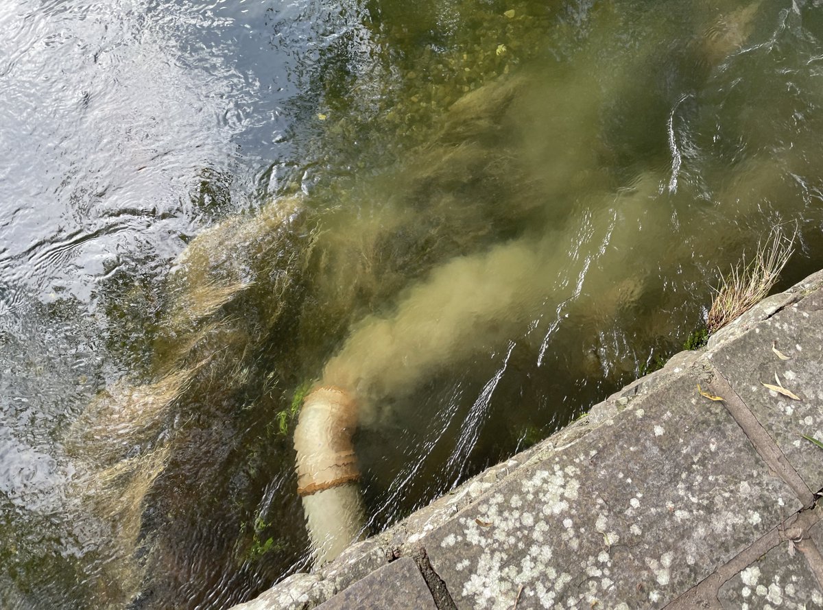badgerboy05's tweet photo. @SCRiversTrust - Not sure what this is or if this is ok. It didn’t look great. River Leven, Swan Hotel. https://t.co/t1trZnWqqK