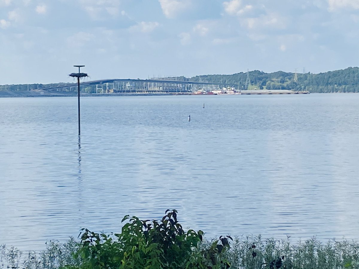 BrandyTurquoise's tweet photo. Made it! What a view. Missed this town, lake and vibe! Happy girl! #pickwicklake #pickwickdam #pickwicklakestateofmind #smalltownvibes https://t.co/xGCUsRyIGm