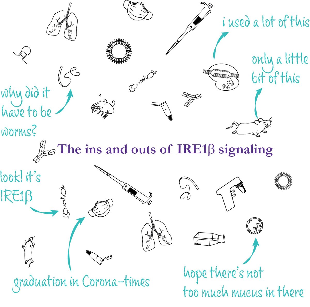 Eva Cloots, PhD (@clootseva) on Twitter photo About seven years ago I came eye to eye with a little protein called IRE1β when I joined the @Svennetti and <a href="/JanssensLab/">Sophie Janssens Lab</a> labs. Welcome to The Ins and Outs of IRE1β signaling: the Thesis Thread (1/16)
#ThesisThread #ScienceCommunication
<a href="/VIBLifeSciences/">VIB</a> <a href="/ResearchUGent/">Ghent University Research</a> About seven years ago I came eye to eye with a little protein called IRE1β when I joined the @Svennetti and <a href="/JanssensLab/">Sophie Janssens Lab</a> labs. Welcome to The Ins and Outs of IRE1β signaling: the Thesis Thread (1/16)
#ThesisThread #ScienceCommunication
<a href="/VIBLifeSciences/">VIB</a> <a href="/ResearchUGent/">Ghent University Research</a>