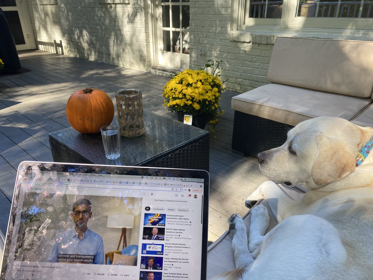 DavidClinchNews's tweet photo. #TGIF #WFHdogs Working with my office mate on a beautiful Autumn afternoon ๐ ๐ โ๏ธ https://t.co/26kQCBBeSm