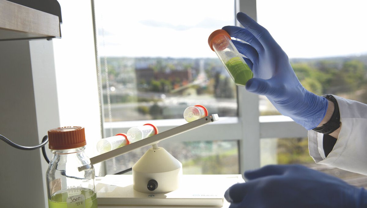 univofscranton's tweet photo. 20 incoming #universityofscranton students began the Magis Honors Program in STEM, which combines the development of STEM knowledge/research techniques with programming to further students’ understanding of the impact science has on society: https://t.co/untVsWMR0T #ScrantonSTEM https://t.co/gT96LvHynm