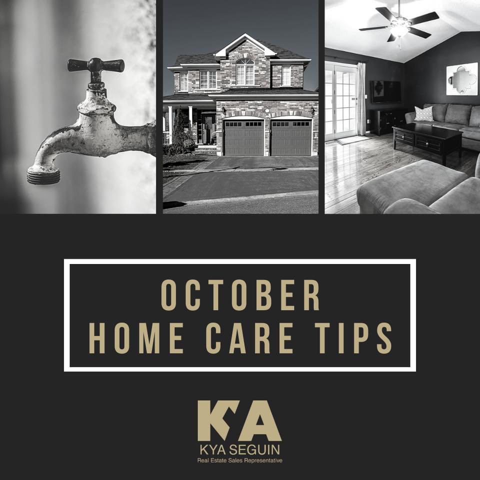 kyaseguin's tweet photo. You can keep your home in top shape with simple tasks throughout the year. This month, be sure to:
#homemaintenance #homecaretips #maintenance #homeimprovement #realestate #clean #homeowner #homerepairs #homeinspection #homerenovation #hometips #renovation #C21United #CallKya https://t.co/YNhwp377k2