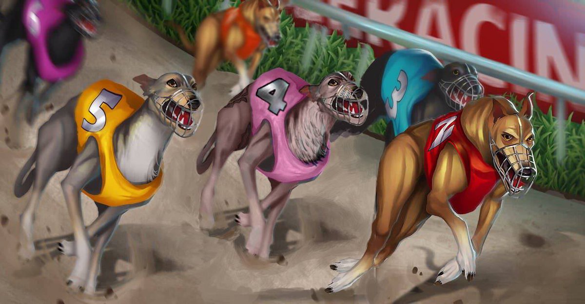 Racing Doge tweet media