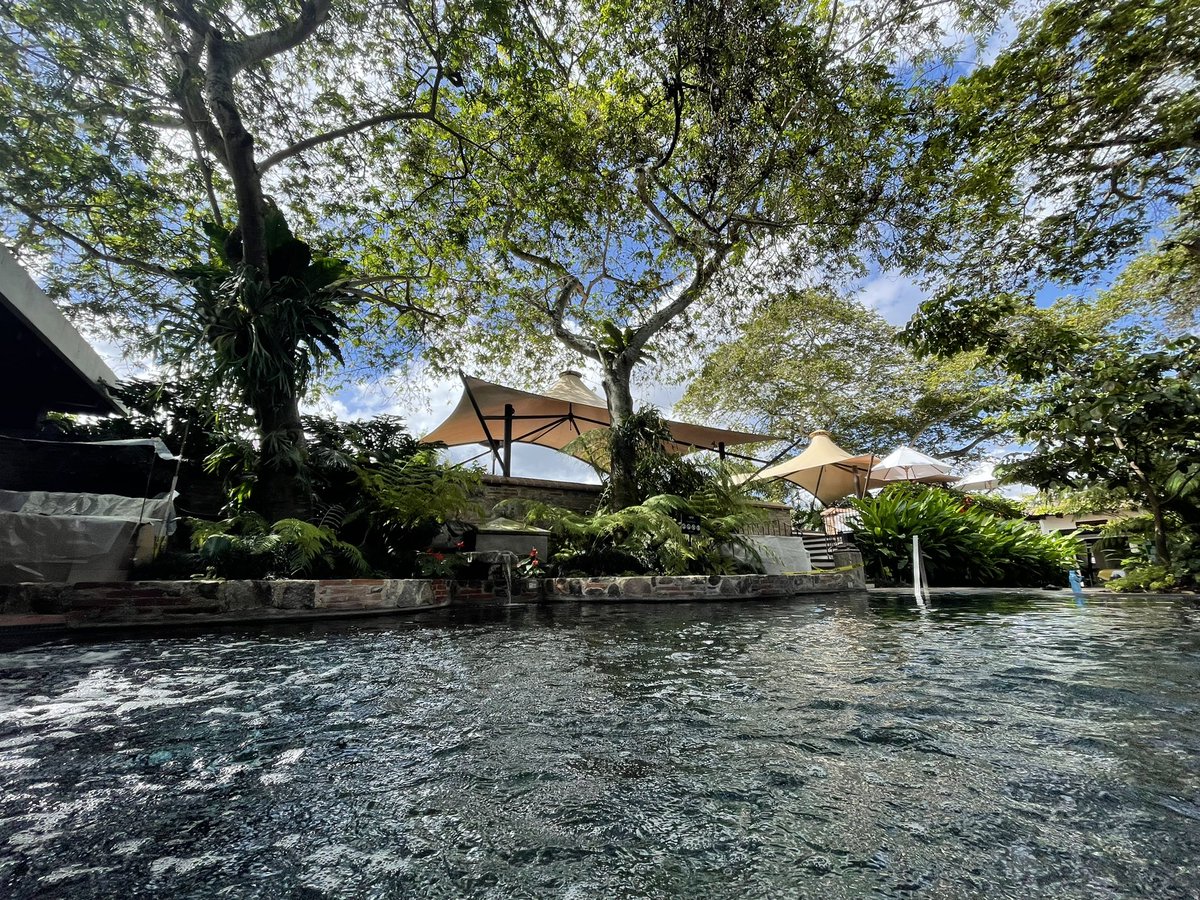 crash is over blehme 👑 tweet media