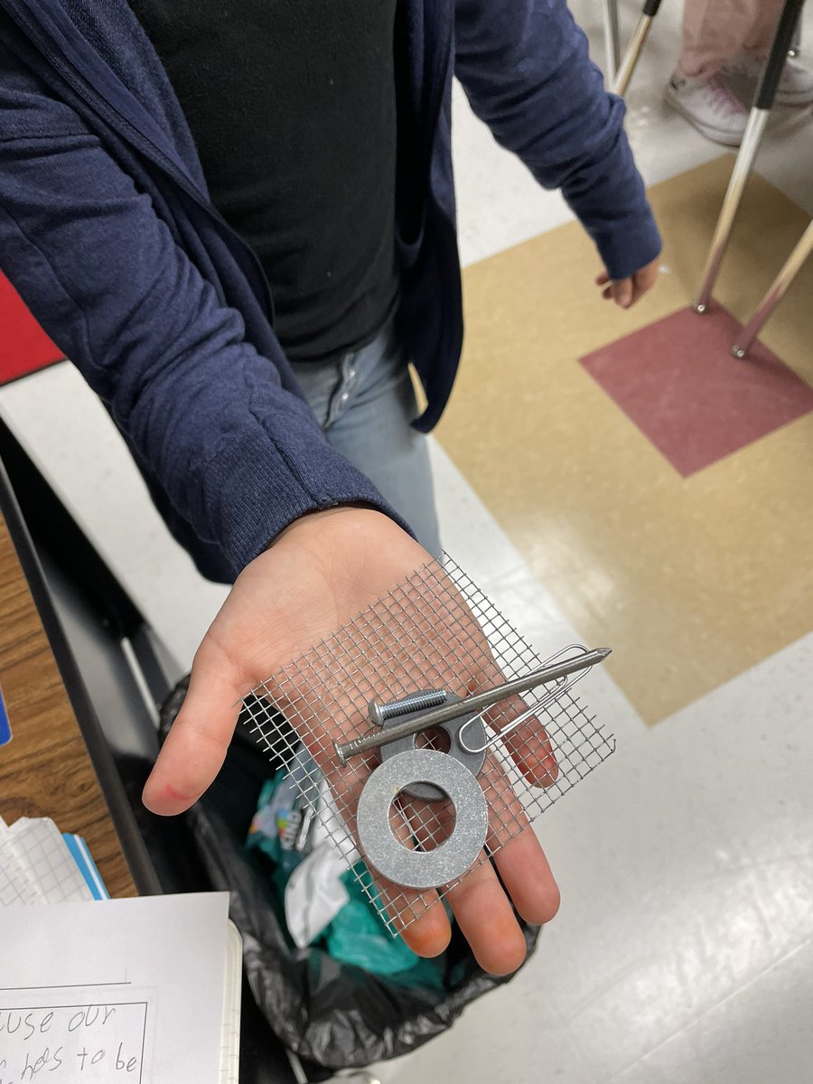 Elizabeth Mickelson tweet media