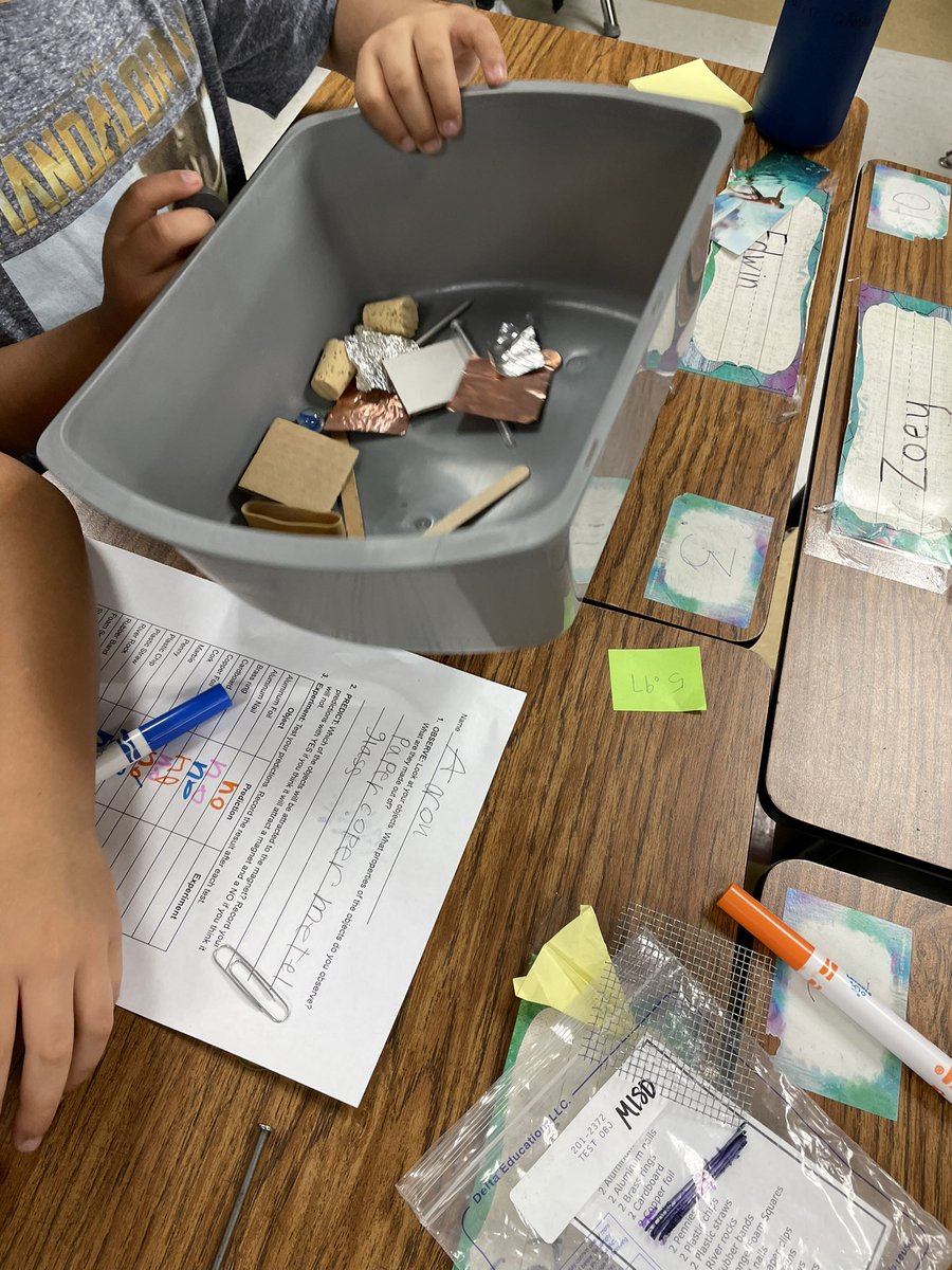 Elizabeth Mickelson tweet media