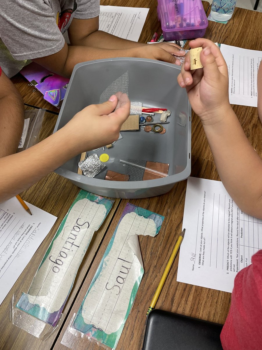 Elizabeth Mickelson tweet media